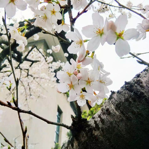 念奴娇 赤壁怀古