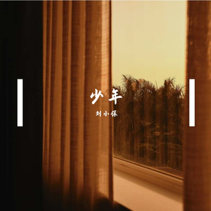 少年-整曲