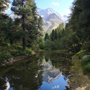 Arolla