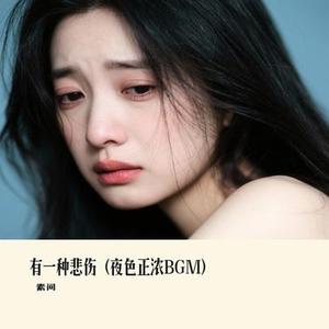 有一种悲伤 (夜色正浓BGM)