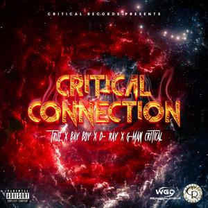 Critical Connection (feat. Tru6, Bay Boy, D-Ray & G-man Critical)
