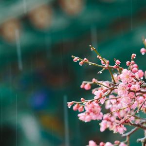 毕业后你不是我的