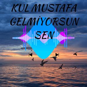Gelmiyorsun Sen