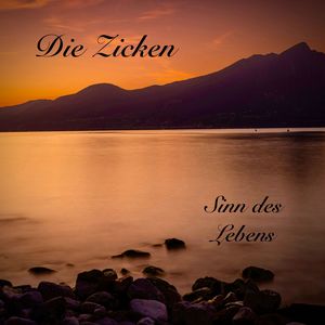 Sinn des Lebens (Radio Edit)