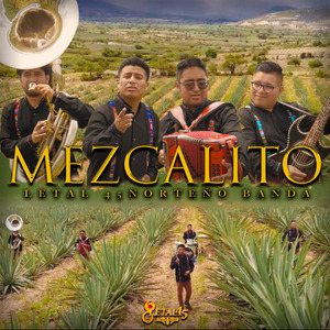 Mezcalito