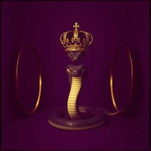 Snakes in the Spotlight