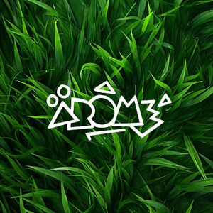 C'est la Vie (version acoustique)