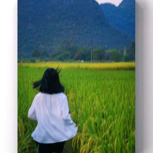 黒い涙(The_Black_warrior Remix)