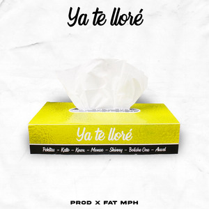 Ya Te Lloré