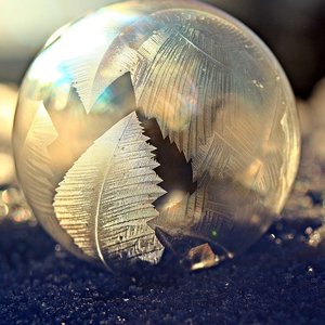 敬你眼里的雪 敬我肩上的霜