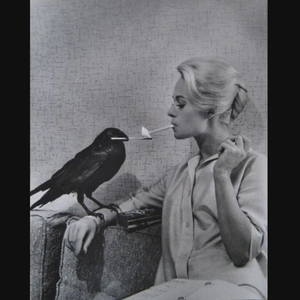 THE HUNTER & THE BIRD