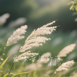 爱像苦涩的酒