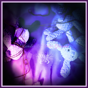 Wonder & Under Ground