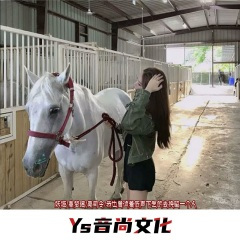 我也曾试着低声下气的去挽留一个人 (DJ版)