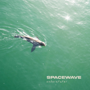Spacewave