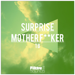 Surprise Mother****er (Original Mix)