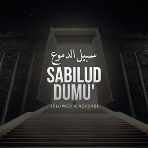 Sabilud dumu (slowed & reverb)