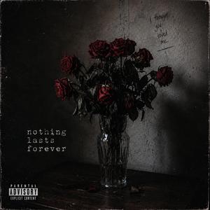 Nothing Lasts Forever