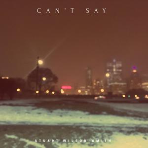 Can't Say