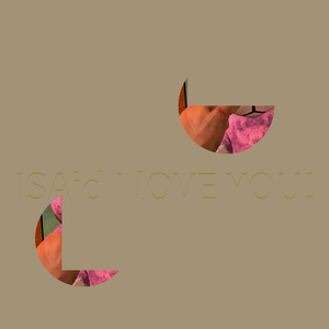 I said I love you! (Tempo Stablized)