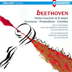 Violin Concerto in D Major, Op. 61: I. Allegro ma non troppo