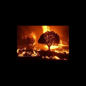 Where Did We Go Wrong?