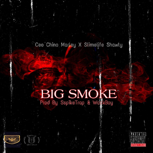 Big Smoke (feat. Slimelife Shawty)