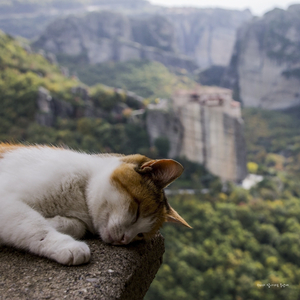 우리가 살아가는 동안에