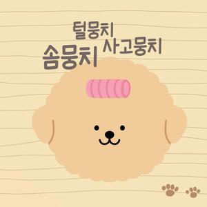 솜뭉치 털뭉치 사고뭉치 (분리불안 해소방법)