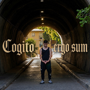 Cogito ergo sum