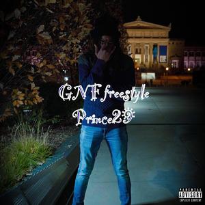 GNF(29mixx)