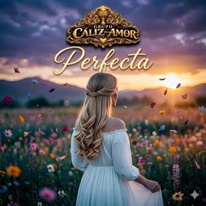 Perfecta