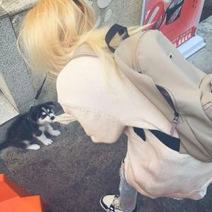 Rikabat-羊了个羊DJ（陈屿 remix）