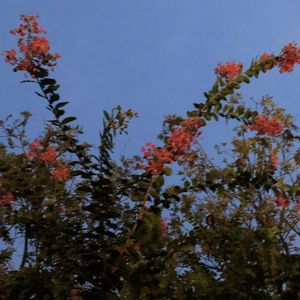 旗帜连绵（prod by.梅川业）