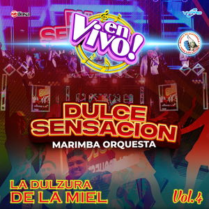 El Nortirollo 31: Ya Me Voy Para Siempre / Perdóname Mi Amor / Directo al Corazón / Nunca Voy a Olvidarte / O Me Voy O Te Vas (En Vivo)