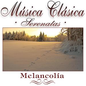 El Canto Del Cisne D 957 "'Ständchen