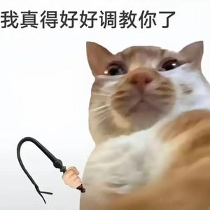 哈基米撒手没BGM