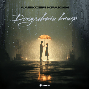 Дождливый вечер