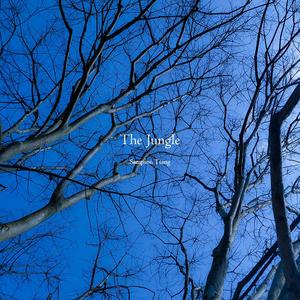 The Jungle(危险丛林)