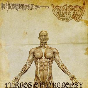 GHOST BUSTERS VS SHIT SUCKERS