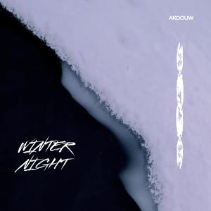 Winter Night