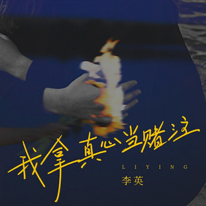 我拿真心当赌注