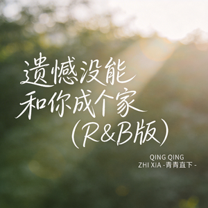 遗憾没能和你成个家 （R&B版）