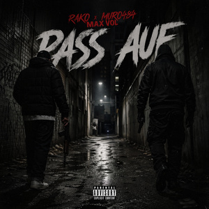 Pass auf