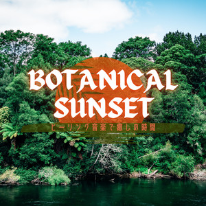 The Sunset on your Mind