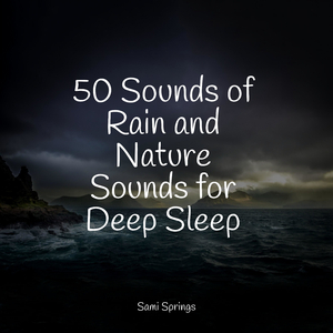 Forest Sounds (Birds)