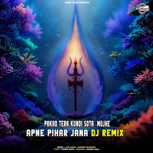 Pakad Tera Kundi Sota Mujhe Apne Pihar Jana DJ