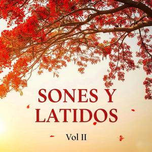 MEMORIAS (feat. Banda BIC 26 de San Andrés Solaga)