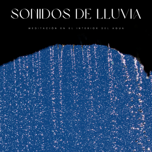 Reflejos En La Lluvia