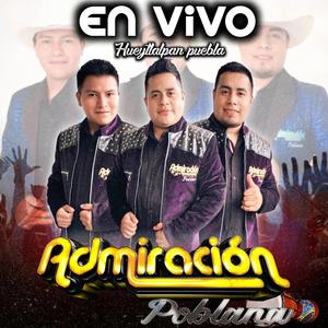 El gallo (el san lorenzo)